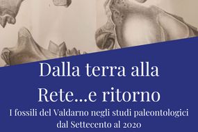 Dalla terra alla rete e ritorno