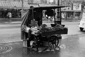 BERNARD PLOSSU. 