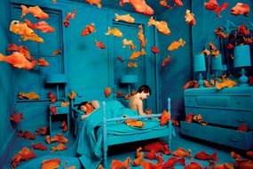 Sandy Skoglund. Visioni Ibride