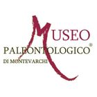 Museo Paleontologico Montevarchi