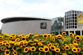 Van Gogh Museum