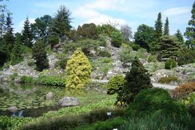 Botanische Tuinen Universitat