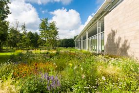 Museo Voorlinden