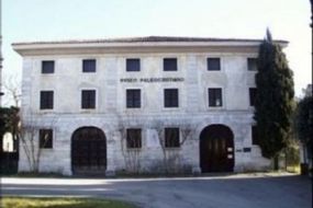 Museo Paleocristiano