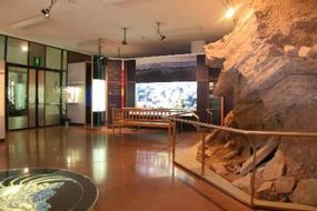 Museo di Scienze Naturali dell'Alto Adige