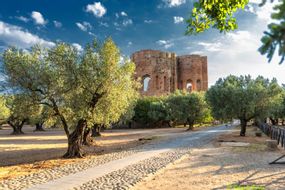 Museo e Parco Archeologico Nazionale di Scolacium