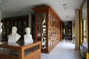 Collezione di Anatomia Patologica e Teratologia Veterinaria Alessandrini-Ercolani