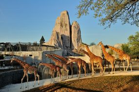 Parc zoologique de Paris