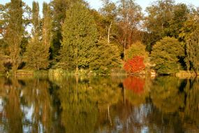 Arboretum de Versailles-Chèvreloup