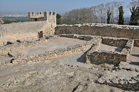 Museu d'Arqueologia de Catalunya Olerdola