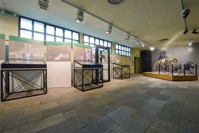 Museo di Archeologia e Paleontologia Carlo Conti