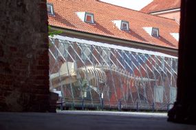 Museum für Natur und Umwelt