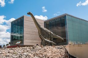 Museo de Paleontología de Castilla-La Mancha