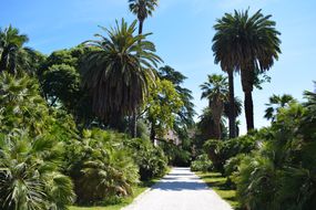 Museo Orto botanico